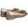 Sapatos Mulher Sapatos & Richelieu Alma En Pena I23107 Castanho