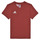 Textil Rapaz T-Shirt mangas curtas adidas Performance ENT22 TEE Y Vermelho