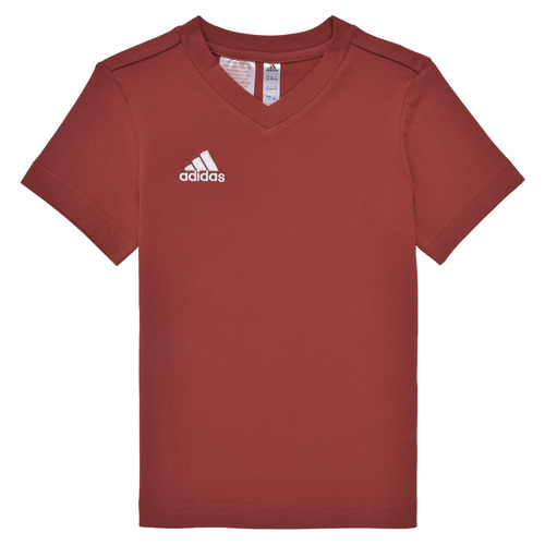 Textil Rapaz D2 Stencil Jersey T-shirt adidas Performance ENT22 TEE Y Vermelho