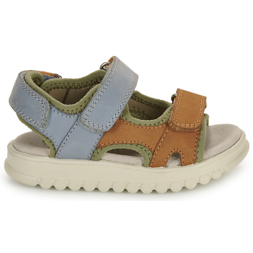 Shoo Pom ROLLY BOY SCRATCH Conhaque / Azul