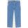 Textil Homem Calças de ganga Dickies GARYVILLE - DK0A4XECCLB1-CLASSIC BLUE Azul