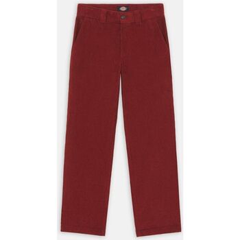 Textil Homem Calças Dickies HIGGINSON PANT - DK0A4XIKG041-FIRED BRICK Vermelho