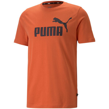 Textil Homem T-Shirt mangas curtas Puma  Laranja