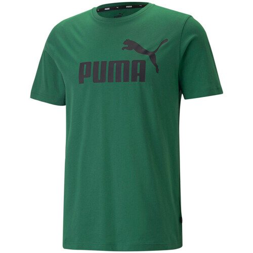 Textil Homem T-shirts e Pólos Puma  Verde