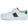 Sapatos Criança Polo Manche Courte Slim Fit RYLEY PS Branco / Multicolor