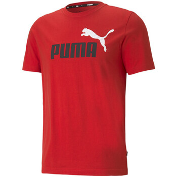 Textil Homem T-Shirt mangas curtas Puma  Vermelho
