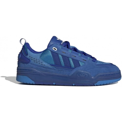 Sapatos Homem Sapatilhas adidas Originals Adi2000 Azul