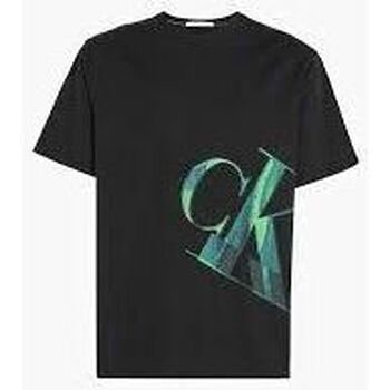 Textil Criança T-shirts e Pólos Calvin Klein JEANS Reebok IB0IB01884 HYPER-BEH BLACK Preto
