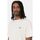 Textil Homem T-shirts e Pólos Dickies MAPLETON TEE SS 0A4XDB-F90 WHITECAP GRAY Cinza