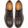 Sapatos Homem Sapatos Sturlini 12000AI2-CHOCOLATE Castanho