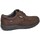 Sapatos Homem Sapatos CallagHan 25799-28 Castanho