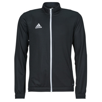 Textil Homem An Official Look at the adidas Ozweego D Rose 10 Year adidas Ozweego Performance ENT22 TK JKT Preto / Branco