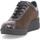 Sapatos Mulher Sapatilhas Melluso R25642D-227624 Castanho