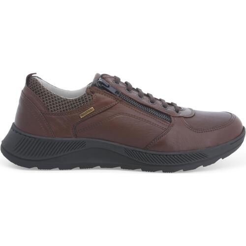 Sapatos Homem Sapatilhas Melluso U41109D-232999 Castanho
