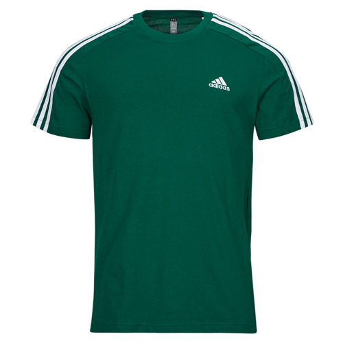 Textil Homem T-Shirt mangas curtas adidas hoodie Sportswear M 3S SJ T Verde / Branco