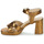 Sapatos Mulher Sandálias Les Tropéziennes par M Belarbi LINESS Bronze