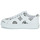 Sapatos Mulher Sapatilhas Guess GIANELE 4 Branco / Preto
