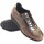 Sapatos Mulher Multi-desportos Baerchi Sapato feminino cinza  55051 Castanho