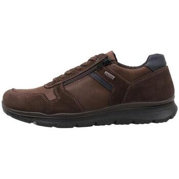 Sapatos Homem Sapatilhas Imac 452578 Castanho