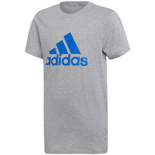 Textil Rapaz T-shirts e Pólos adidas Originals  Cinza