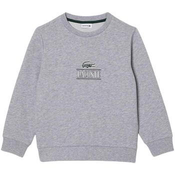 Textil Rapaz Sweats Lacoste logo  Cinza