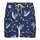 Textil Homem Fatos e shorts de banho Polo Ralph Lauren garment-dyed pleated chinos Grün MAILLOT DE BAIN A RAYURES EN SEERSUCKER Multicolor