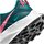 Sapatos Mulher Sapatilhas Nike DA8698 300 W PEGASUS TRAIL 3 Verde