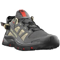 Sapatos Homem Sapatos de caminhada Salomon Techamphibian 5 Cinza