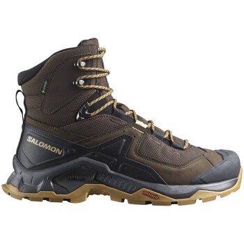 Sapatos Homem Sapatos de caminhada Salomon quest  gore-tex Verde azeitona