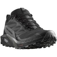 Sapatos Homem Running Salomon Sense Ride 5 Gtx Preto