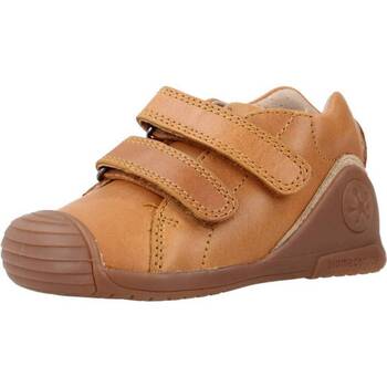 Sapatos Rapaz Sapatilhas Biomecanics 221121B Castanho