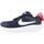 Sapatos Rapaz Sapatilhas Hoops Nike STAR RUNNER 4 Azul