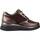 Sapatos Mulher Sapatos & Richelieu Stonefly CLERYN HDRY 15 VELOUR/LAMINATED Castanho