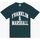 Textil T-shirts e Pólos embroidered hoodie paul smith sweaterall JM3011.10000P01-102 Verde