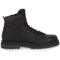 Sapatos Homem Sapatilhas de cano-alto NeroGiardini 304012300 Castanho