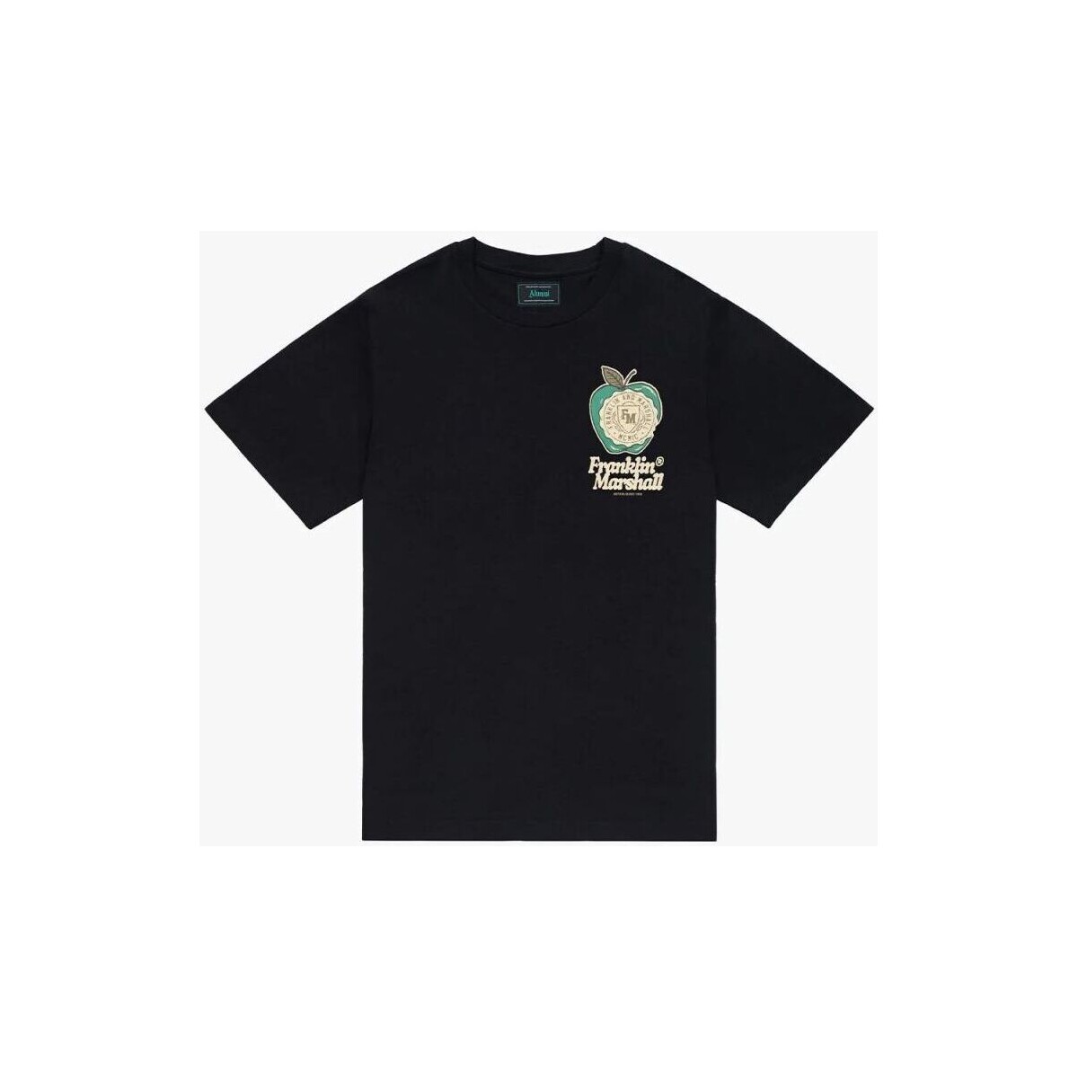 Textil Homem T-shirts e Pólos Franklin & Marshall JM3215.1012P01-980 Preto