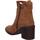 Sapatos Mulher Botins Xti 43293 43293 