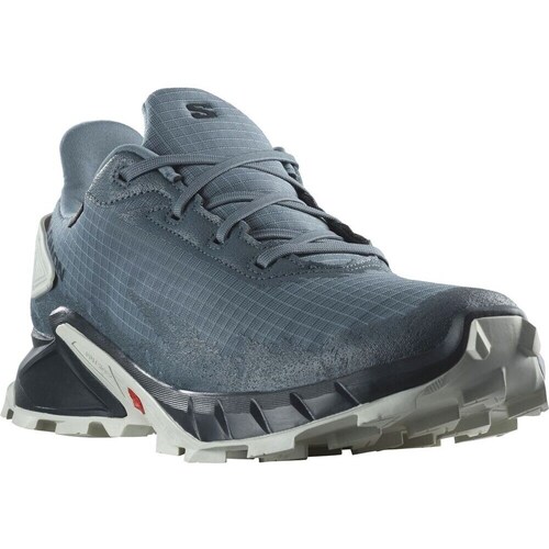 Salomon Alphacross 4 Gtx Gore-tex Azul