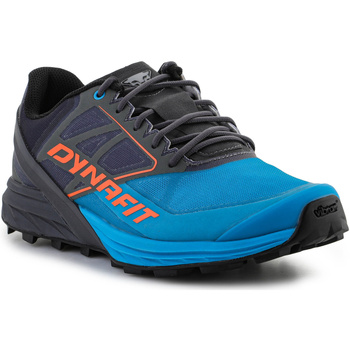 Sapatos Homem Sapatilhas de corrida Dynafit Alpine 64064-0752 Magnet/Frost Multicolor