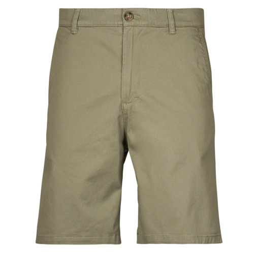 Textil Homem Shorts / Bermudas Selected SLHREGULAR BILL FLEX SHORTS Verde