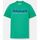 Textil Homem T-shirts e Pólos Timberland TB0A1BY8 TB0A6SE1 SS EST. 1973 CREW TEE-ED3 CELTIC GREEN Verde