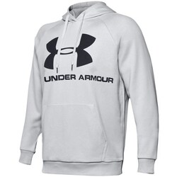 Textil Homem Sweats Under Armour Rival Fleece Logo Hoodie Cinza