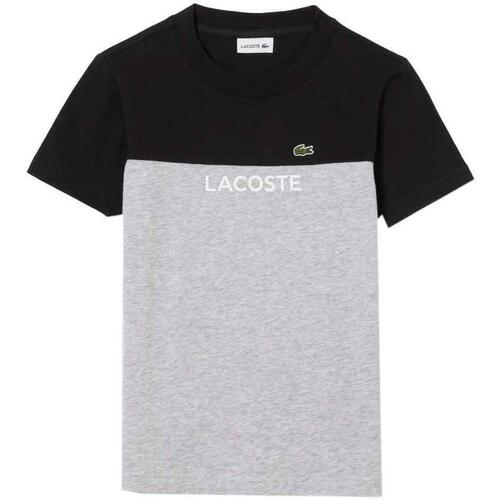 Textil Rapaz T-shirts e Pólos carnaby Lacoste  Cinza