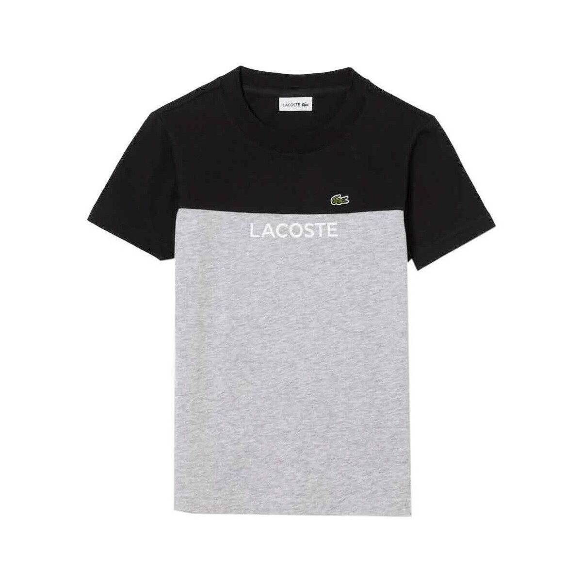 Textil Rapaz T-shirts e Pólos Lacoste  Cinza