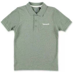 Textil Rapaz T-shirts e Pólos Timberland T25T98-708-4-19 Verde