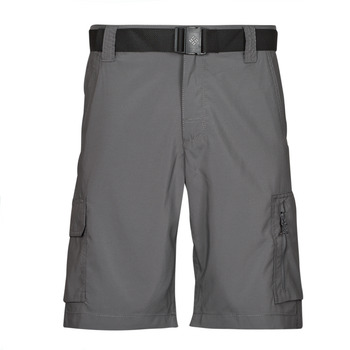 Textil Homem Shorts / Bermudas Columbia Silver Ridge Utility Cargo Short Cinza