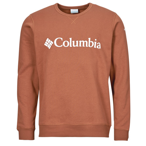 Textil Homem Sweats Columbia CSC Basic Logo II shirt HOODIE Castanho