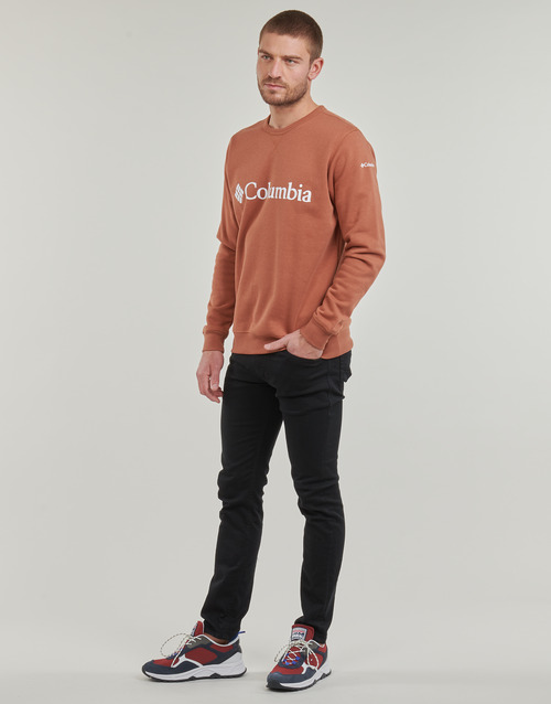 Columbia CSC Basic Logo II Hoodie Castanho