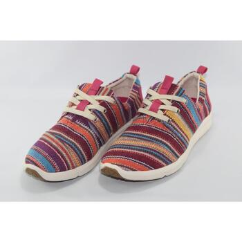 Toms Sapatos de Senhora Multicolor