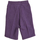 Textil Mulher Calças curtas Zumba Z2B00044-BERRY Violeta